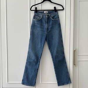 Agolde Pinch Waist High Rise Straight Jean